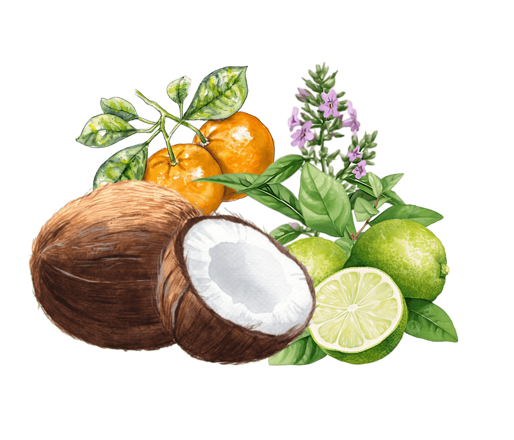 Coconut Lime Verbena fragrance oil for handmade clean-scent candles by Lilele Studio